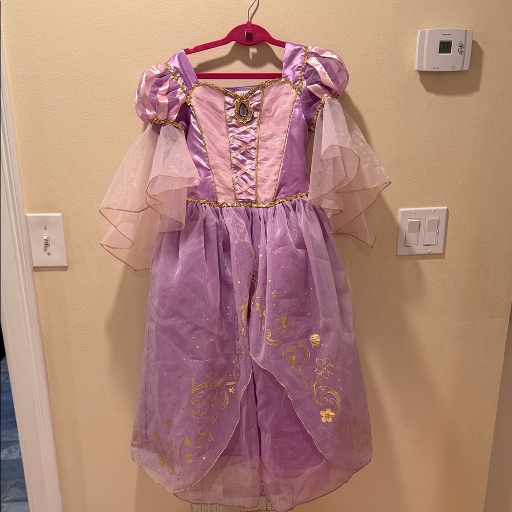 Rapunzel Princess Costume
pink and gold costume